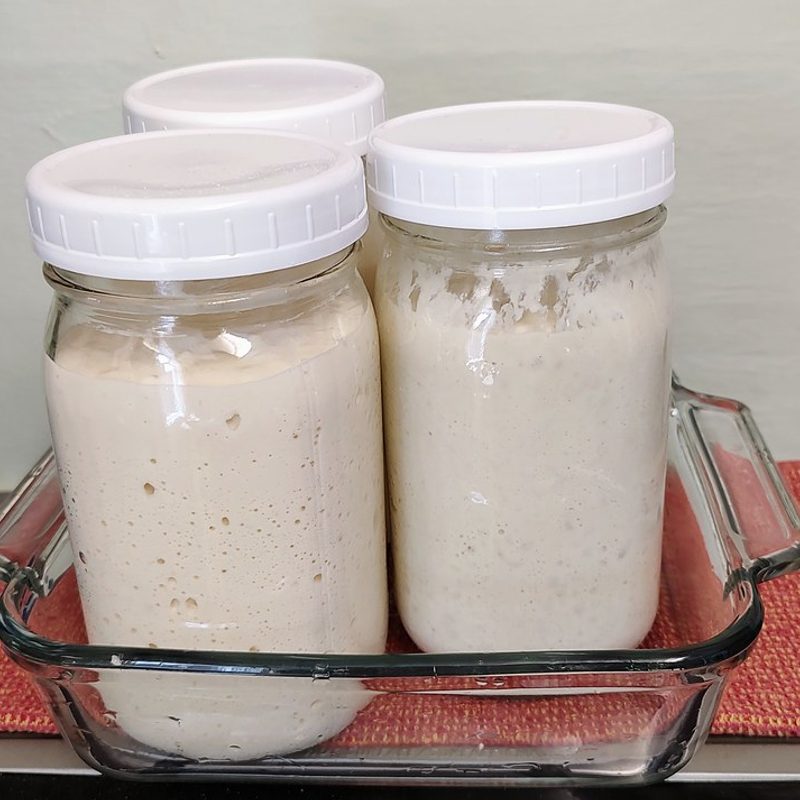 Sourdough Starter Kit