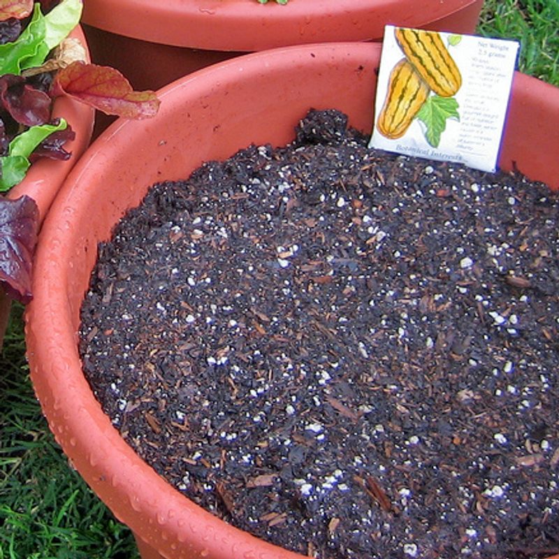Peat-Free Houseplant Compost, 10L