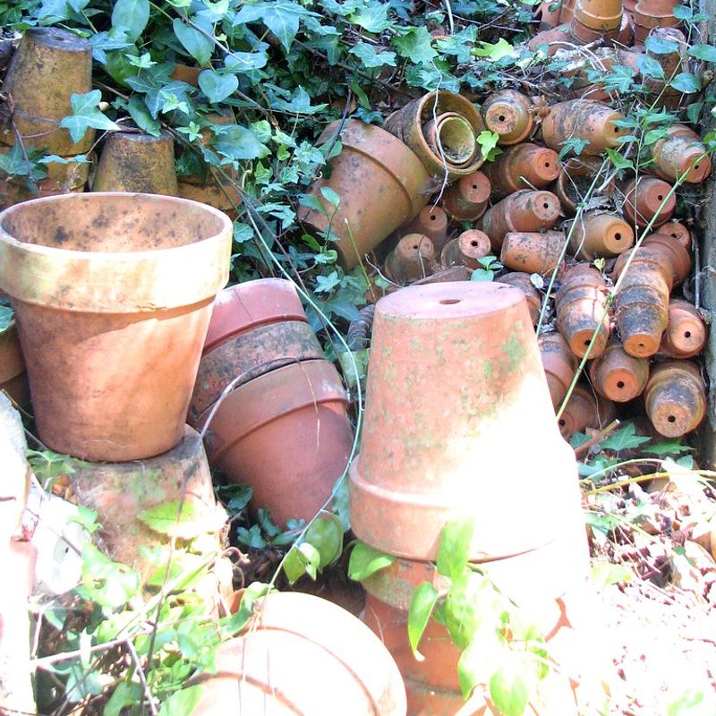Terracotta Pots, Set of 4